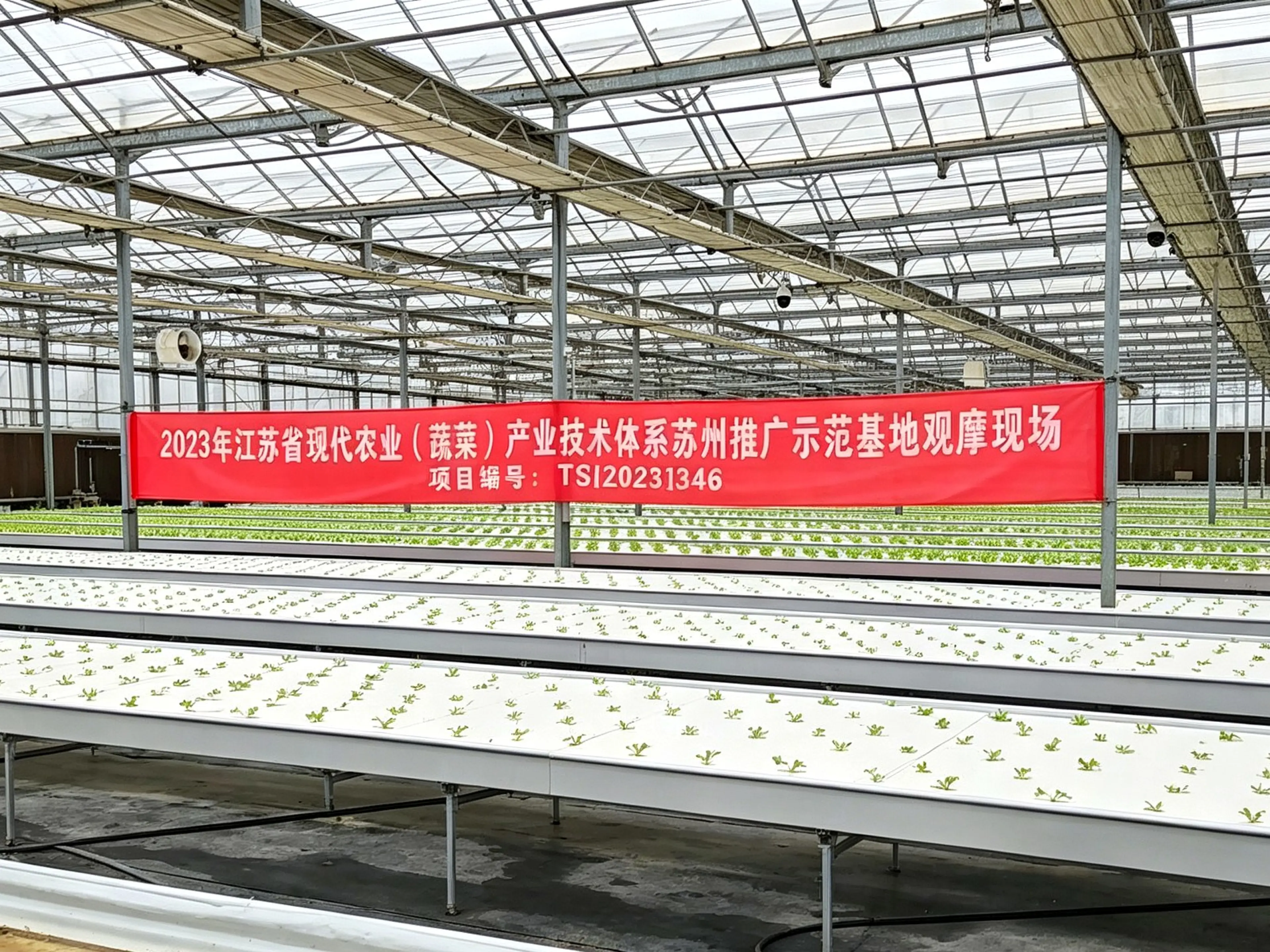 基地作为省级观摩示范现场,面向行业展示智能设施农业落地成果,验证立体育苗与 NFT 水培整套设备的稳定性与适配性。项目为各地现代农业示范园、植物工厂提供成熟、可复制的整体种植解决方案。