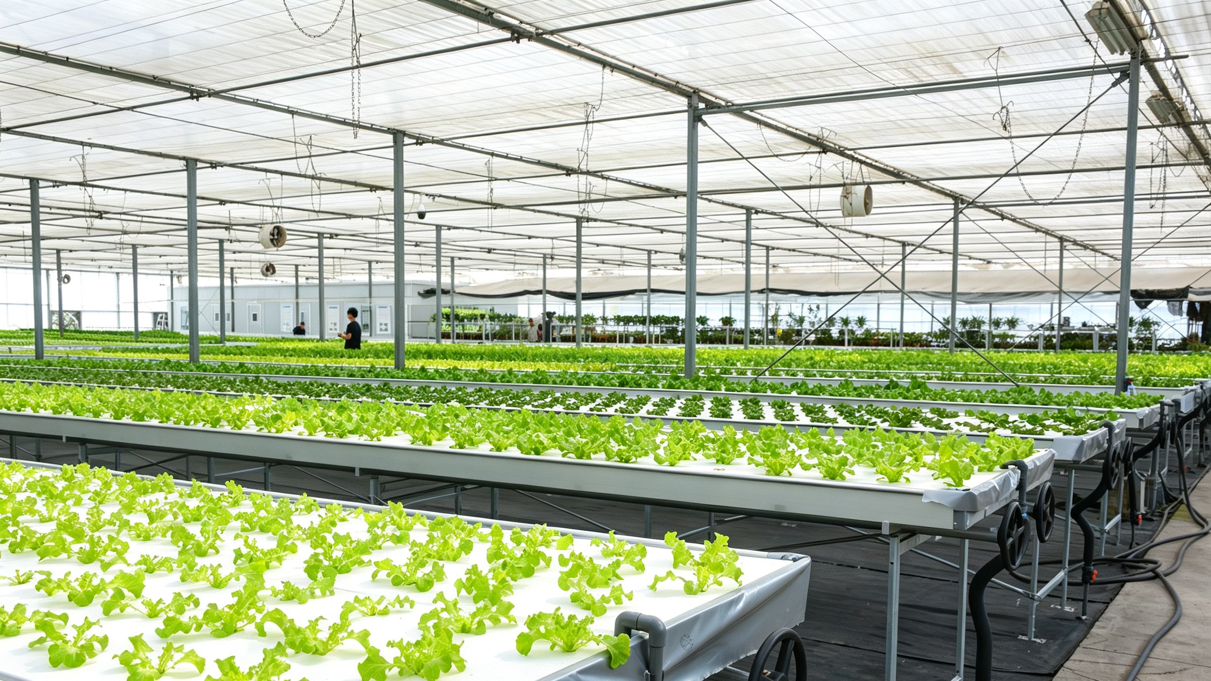 混合光型 NFT 叶菜工厂