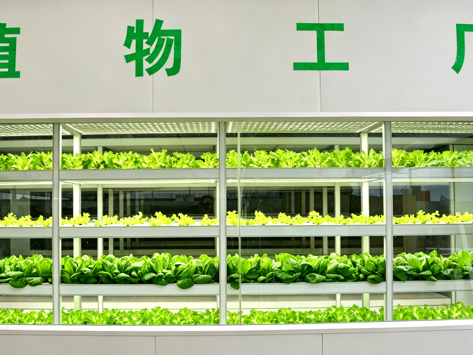 小型室内植物工厂，适配都市家庭、办公空间、社区微农场与科研教学等多样场景。依托多层立体栽培与智能光温水肥管控，不受气候土壤限制，洁净无土，就近产出新鲜蔬苗，构建都市微型农业单元。