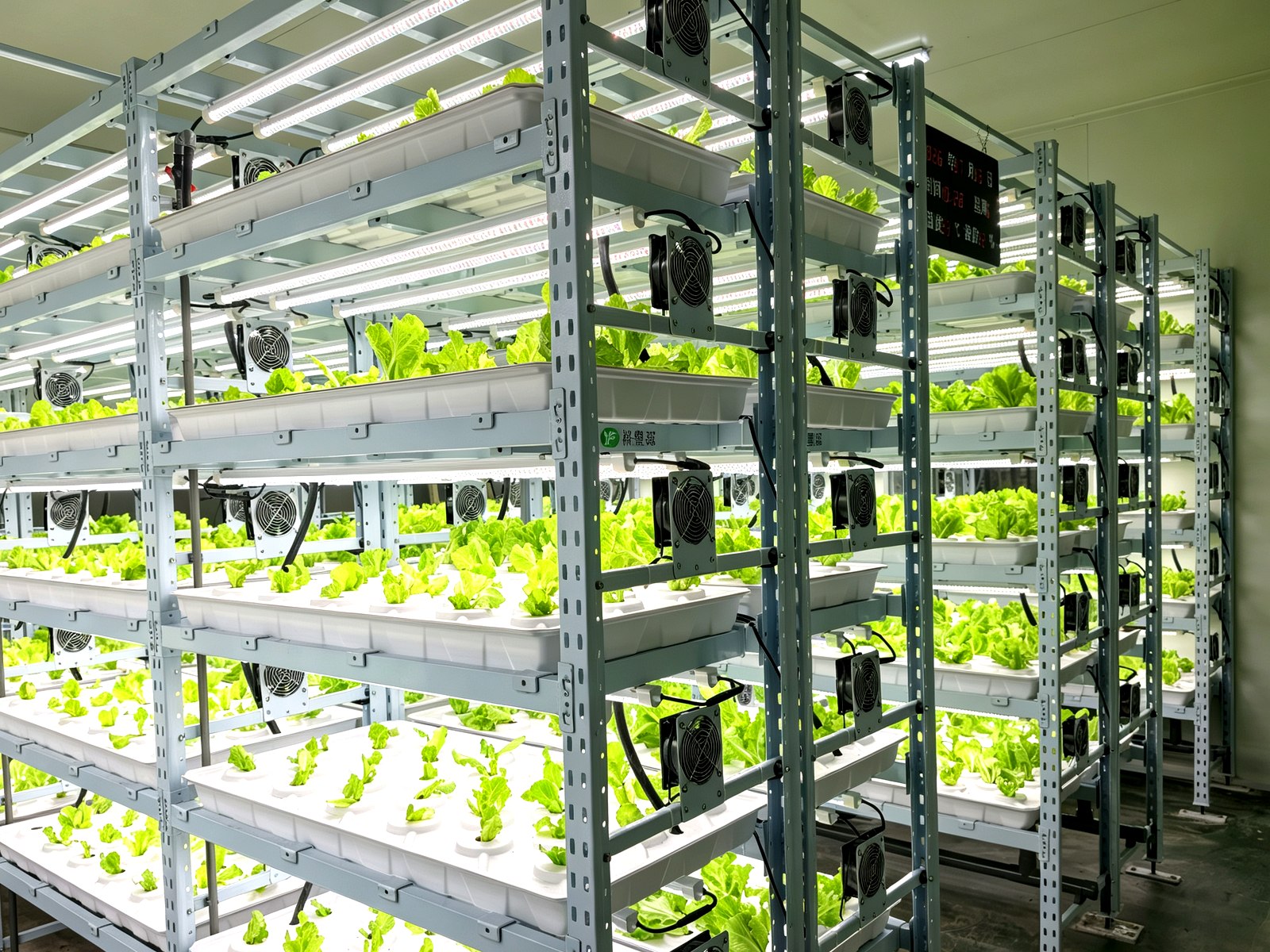 工业化金属架体搭配多层种植结构，空间利用率高。系统标配补光、栽培槽、水肥管路与控制单元，可依场地灵活配置，实现高密度种植与周年生产。结构稳固、安装维护简便，工业质感明确，适用于都市农业、观光采摘与设施农业升级。