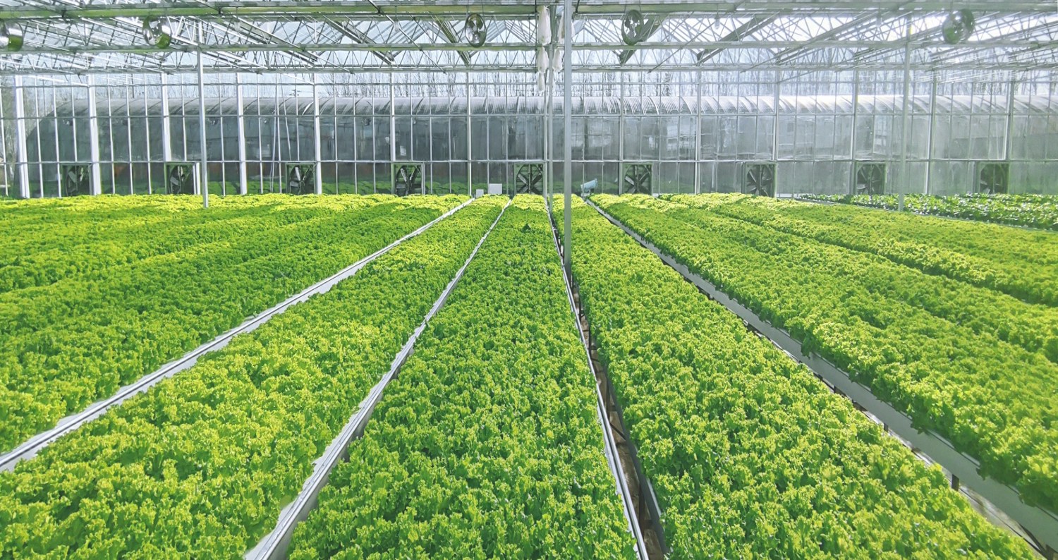 佳培科技植物工厂内景 —— 规模化设施农业种植区